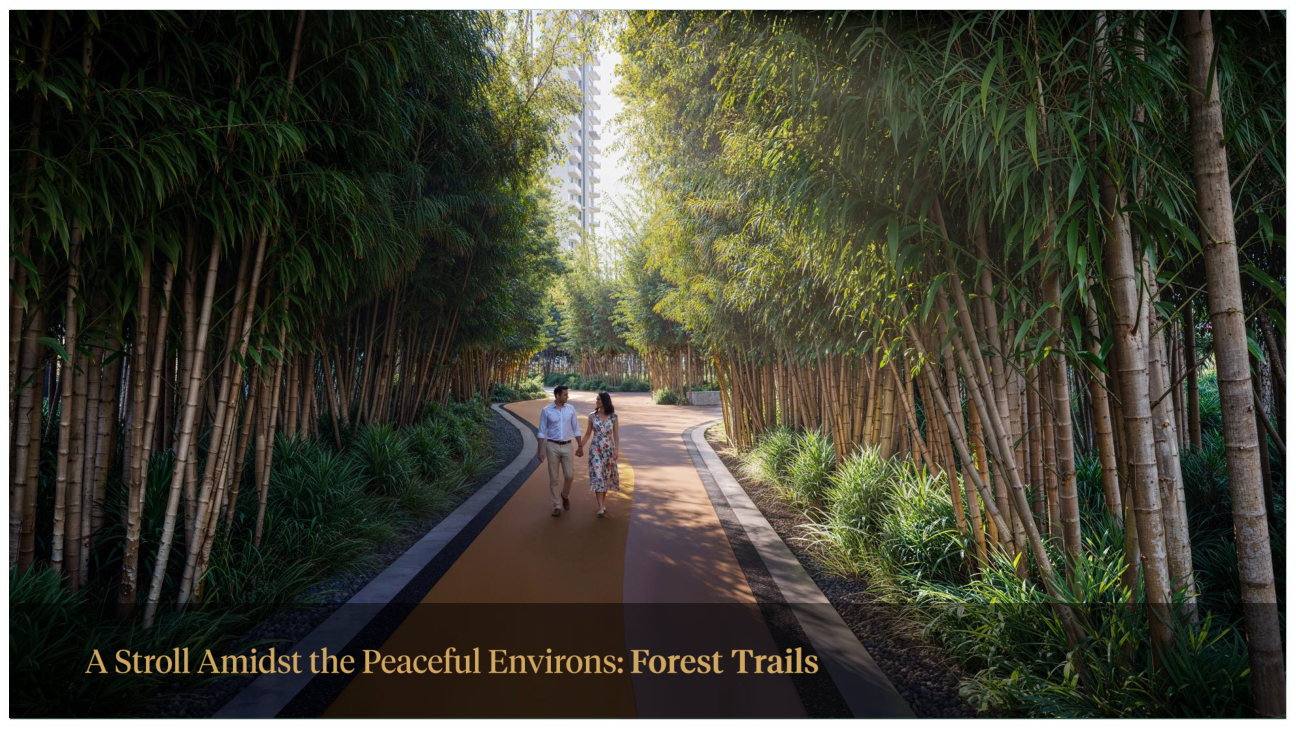 Forest trails